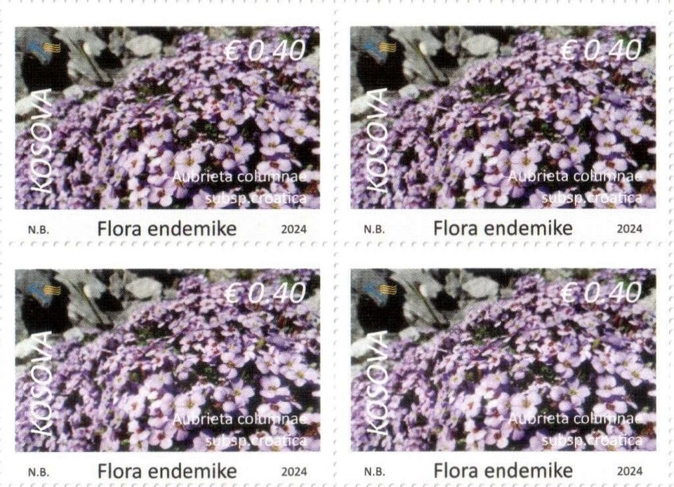 Estampillas de Kosovo 2024. Flora: Aubrieta columnae croatica Sellos definitivos 0,40 MNH Foto 1 de 1