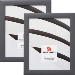 Craig Frames Contemporary, 1 Inch Wide Dark Gray Picture Frame 2-Pack - Picture 1 of 9