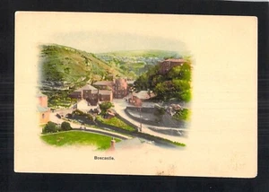D5918 UK Boscastle undivided vingette vintage postcard - Picture 1 of 2