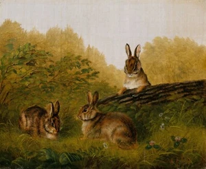 Arthur Fitzwilliam Tait : "Rabbits on a Log" (1897) — Giclee Fine Art Print - Picture 1 of 7