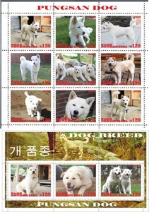 Stamp sheet+block Pungsan Dog 2020 Korea issue - Picture 1 of 1