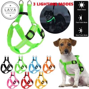 USB RECHARGEABLE CHEST HARNESS LED Pet Dog Glow Flashing Light-up Night Safety - Picture 1 of 19