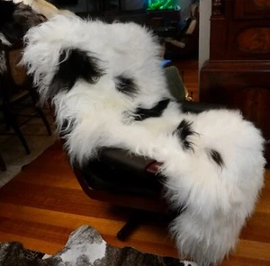 Natural Snow White & Black Spot  Icelandic Sheepskin Rug- From The Cold North - Picture 1 of 14