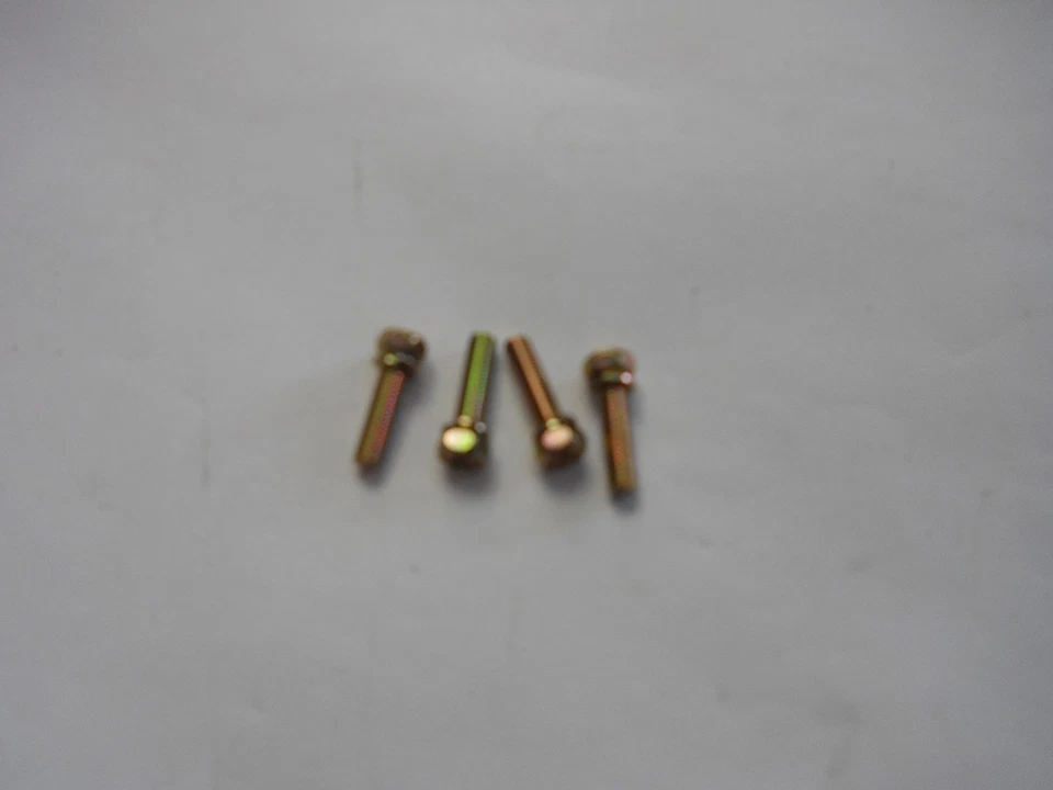 Juego de 4 tornillos para cortasetos Red Max genuino 0225-10520 / 022510520 Foto 1 de 1