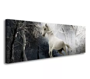 Bilder Leinwand 120 x 40 Pferd auf Rahmen Wandbild Visario Bild 5739 - Bild 1 von 1