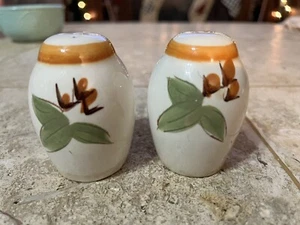 Vintage Stangl Bittersweet Pattern - Salt & Pepper Shakers! 3 & 5 Holes - Picture 1 of 5