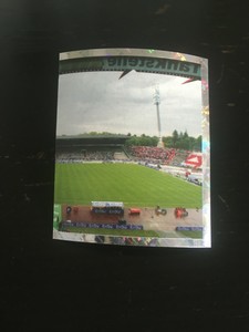 PANINI BUNDESLIGA 2008/2009 FIGURE NR 302 GREAT!!   WILD PARK STADIUM