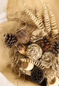Exotic Wooden Flower Bunch In Natural Stems 43-63cm in 10 Styles Floral Filler - Picture 1 of 39