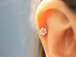 16G Stainless Steel Labret Lip Ring Tragus Helix Earring Stud Piercing Jewelry - Picture 1 of 5