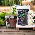 Root Riot Ersatzwürfel 50 Würfel + Gecko Sprinkler Gartenzubehör DUO SET