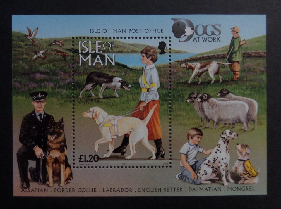 Isle of Man 1996 MS725 Dogs Labrador guide dog Police dog MNH UM unmounted mint - Image 1 of 1