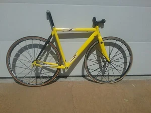 Pinarello Prince frame & fork - 2002 - 52 cm (c-t) - Picture 1 of 17