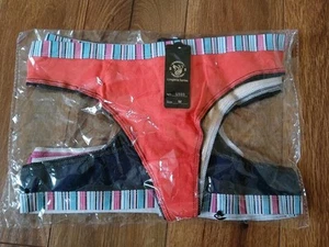 S.Christina 6 Pc Cotton Panties Bikini Style Size M Medium Lingerie Series New - Picture 1 of 4