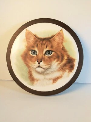 Gato Maine Coon de pelo largo vintage en azulejo de cerámica redondo empotrado en placa de madera Foto 1 de 4
