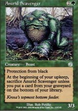 4x Anurid Scavenger ~ Near Mint Torment MTG Magic x4 4 UltimateMTG Playset Green