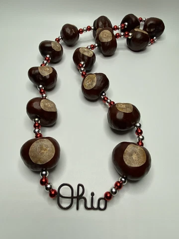 Ohio State Buckeye Necklace OSU Football, Script Ohio Pendant, 14 Buckeyes! Cover