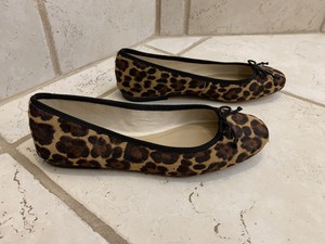 ann taylor animal print shoes
