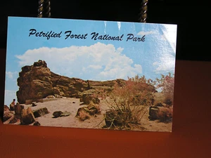Vintage Arizona - Versteinerter Wald Nationalpark - nicht veröffentlicht - Bild 1 von 2