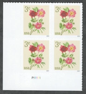 US. 5899. 3c. Peonies. PB4 #P11111 LL. MNH. 2024 - Picture 1 of 1