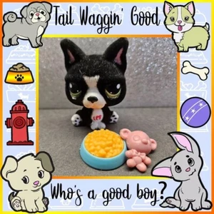 Littlest Pet Shop LPS Authentic #978 French Bulldog Black & White Flocked Acc - Picture 1 of 6