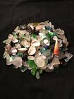 35 Pounds Of Sea Glass Tumbled Glass Abalone Conch Shells
