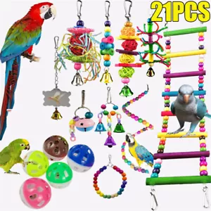 21 Pack Parrot Toys Set Metal Rope Ladder Small Stand Budgie Cockatiel Cage Bird - Picture 1 of 14