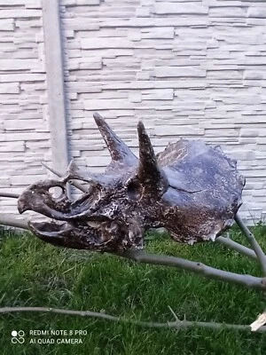 Triceratops dinosaurus skull fosil replica 1/2 size - Image 1 of 4