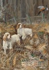 CLUMBER SPANIEL DOG GREETING CARD BEAUTIFUL DOGS IN WOOD NOTE CARD