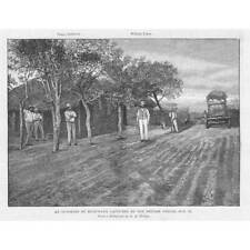 ZIMBABWE An Outskirt of Bulawayo - Antique Print 1893