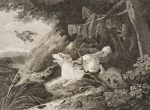 Unbekannt (19.Jhd), Der Wachtelhund. Jagd auf Schnepfen, um 1835, Kupferstich