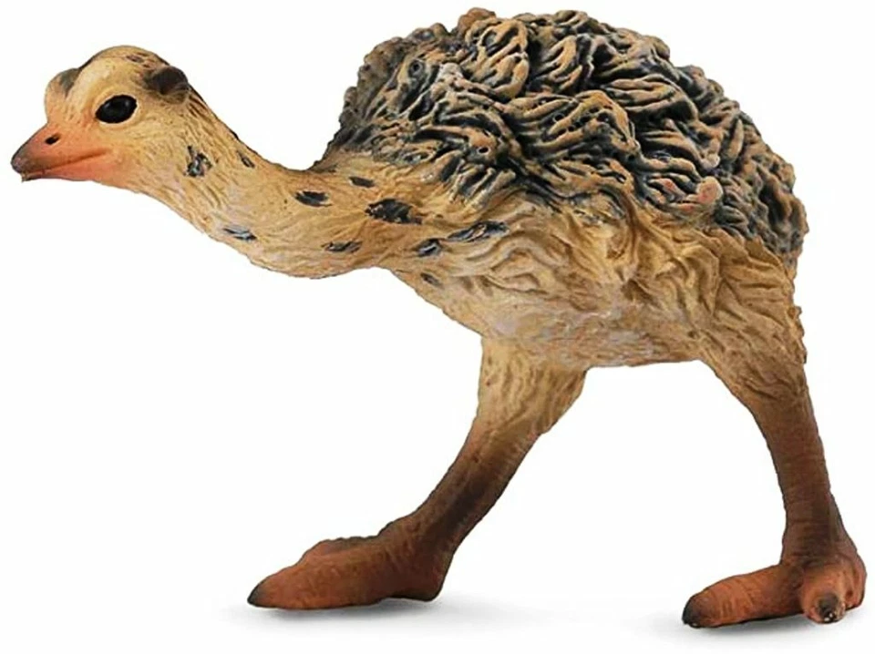 ANIMALI ANIMALS WILD LIFE COLLECTA OSTRICH CHICK WALKING CUCCILO STRUZZO 88461 - Immagine 1 di 1