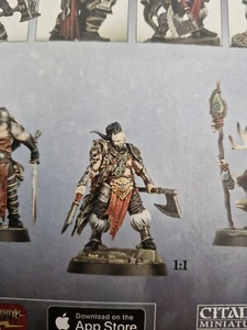 AOS Slaves To Darkenss Darkoath Brands Oathbound Single. Chaos Cheiftain/ Lord - Picture 1 of 1