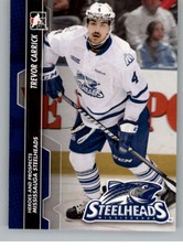2013-14 ITG Heroes and Prospects Hockey Trading Cards Pick From List
