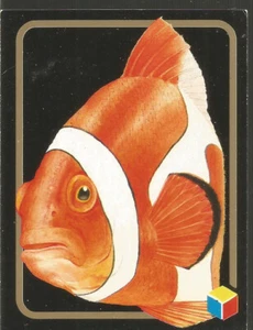 Animali da salvare ; 126 Bis : Pesce Pagliaccio - Card della TH & LP : 1993 - Foto 1 di 2