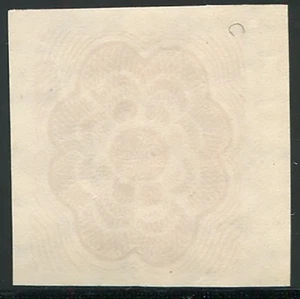 Lupa con filigrana solo stampa del fondo di sicurezza - Imagen 1 de 1