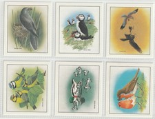 Cadbury Birds in Springtime complete set of 12 cards in excellent condition.