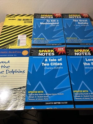 Lot Of 6 Used Spark Noted Guides Scarlet Letter To Kill A Mockingbird Gatsby - Image 1 of 4