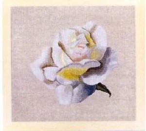 WHITE ROSE - Counted x-stitch kit - DMC brand - (XC1041/26)(2738) - Picture 1 of 1