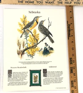Nebraska Commemorative Mint-Stamp Postal Commemorative Society Collectable. - Picture 1 of 1