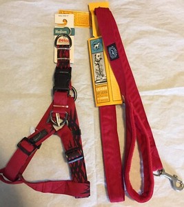 planet dog leash