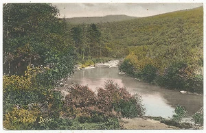 Bucklands Drives [Dartmoor], Devon, 1911 postcard - Foto 1 di 2