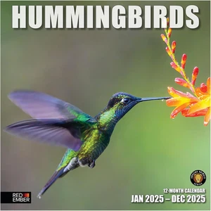 Hummingbirds 2025 Wall Calendar 12 Month | 12" X 24" Open | Thick & Sturdy Paper - Picture 1 of 12