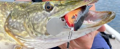 Schleppsystem Kunstköderfischhalter Raubfisch - Bild 1 von 4