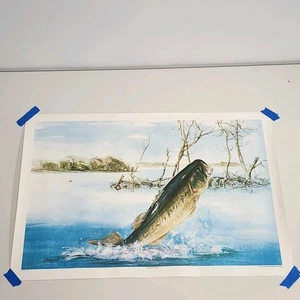 Art by Chappell Largemouth Bass Fishing Print Lure Rolled Wall Decor Vintage - Picture 1 of 11