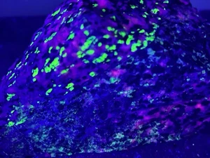 Fluorescent Willemite Calcite Franklinite Mineral  Sterling Mine, New Jersey (36 - Picture 1 of 12