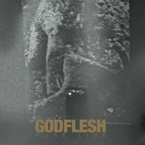 Godflesh Pure: Live (CD) Album Digipak (US IMPORT) - Picture 1 of 1
