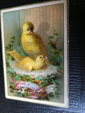 1800's Embossed Henry Baltz, Jr. Yellow Chicks Victorian Trade Card 
