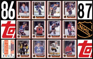 1986 Topps Hockey NHL juego de 12 pegatinas con inserto de tarjeta Gretzky todas las estrellas 86-87 - Imagen 1 de 1