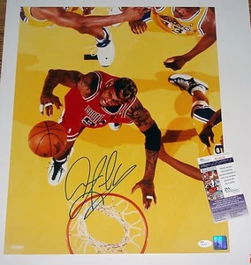 NBA CHICAGO BULLS Dennis Rodman Signed 16x20 Color Photo JSA CERT FREE SHIPPING - Picture 1 of 1