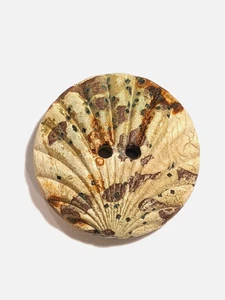 Antique 19th Century Composition Button. Shell Design. Medium. Sew-through. - Picture 1 of 5